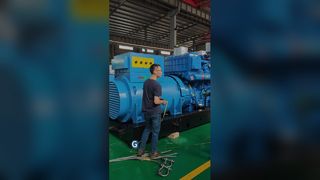Tải bộ máy phát điện Diesel tại chỗ