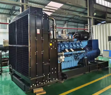 Mua 1800kVA 1440KW thỏa mãn Dynamo LPG Generator Gas Generator Natural Gas Set Cho Cung cấp Năng lượng Công nghiệp online manufacture