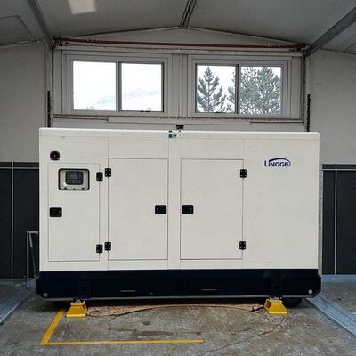 30KW 40KW 50KW 60KW 100KW 200KW 300KW 400KW Máy điện Máy phát điện để bán